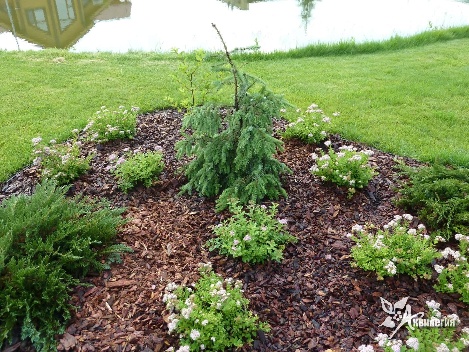 Самые «затратные» в уходе позиции