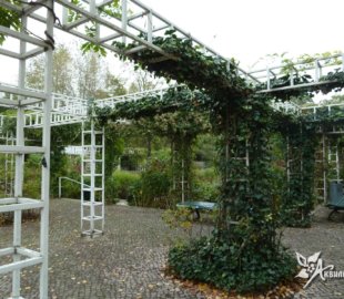 небольшой городской сквер (1) небольшой городской сквер (1)