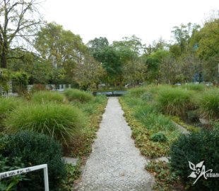 небольшой городской сквер (2) небольшой городской сквер (2)
