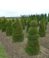 шахматные фигуры (2)