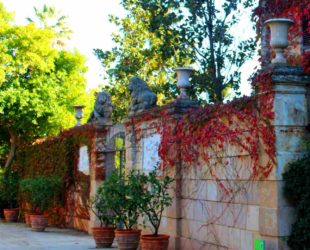 Парк Лабиринт Испания 1Ландшафтный дизайн