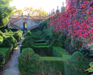 Парк Лабиринт Испания 2 Ландшафтный дизайн