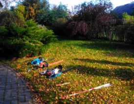 обрезка и формирование кустарника (5)