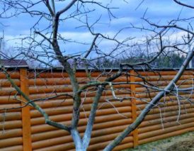 обрезка плодовых