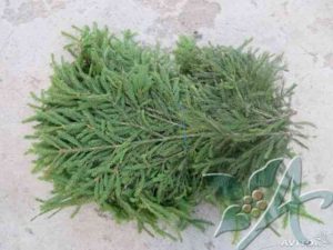 Укрытие растений