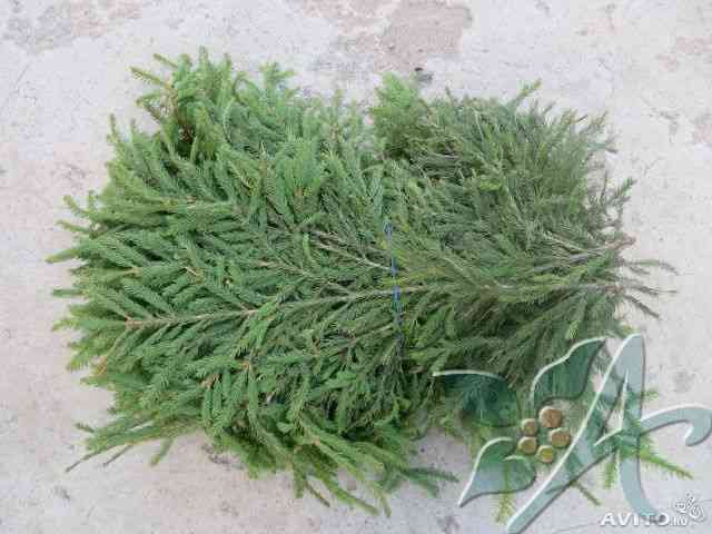 Укрытие растений