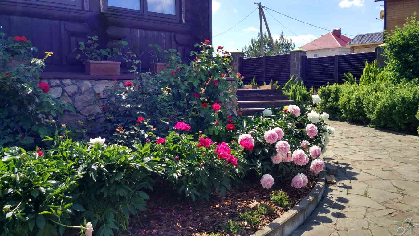 что и чем мы укрываем розы