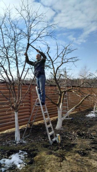 Садовник – круглогодичная профессия работы янв-март 1