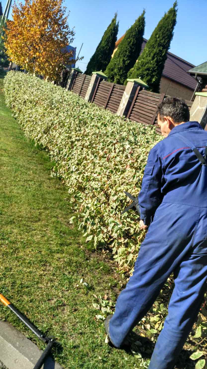 Садовник – круглогодичная профессия работы янв-март - 3