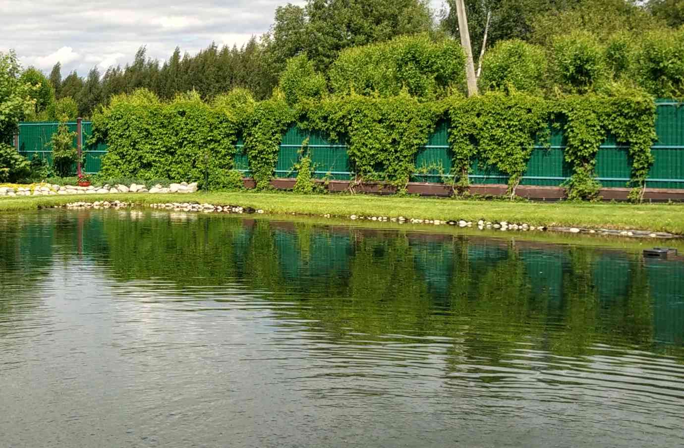 Правильный выбор растений