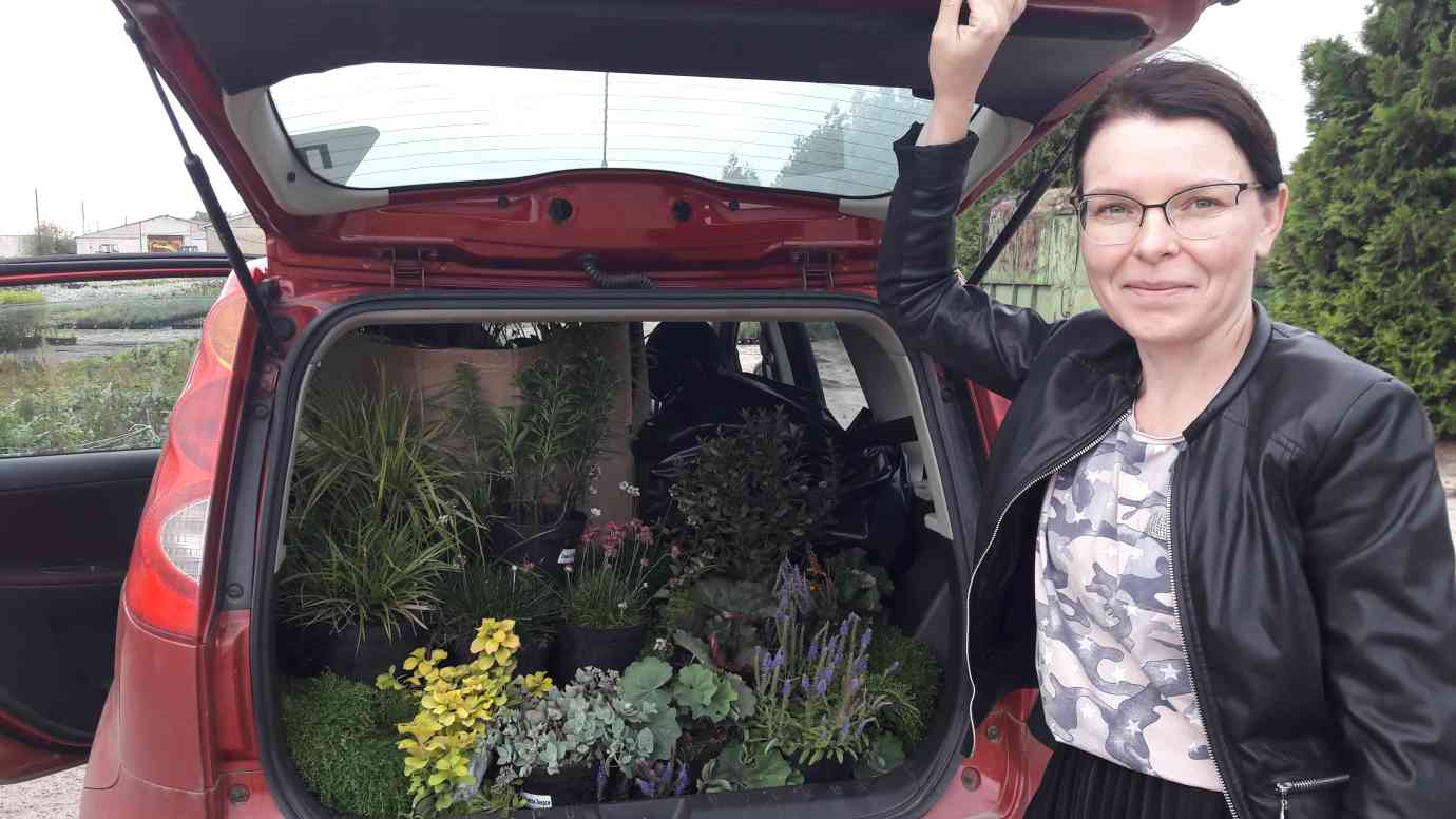 Где купить хорошие растения 