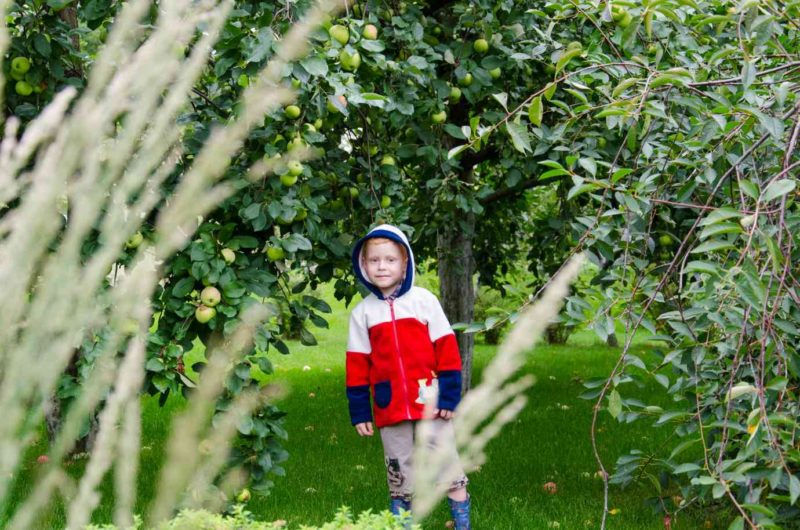 Дети и растения. Безопасность или развитие - 1