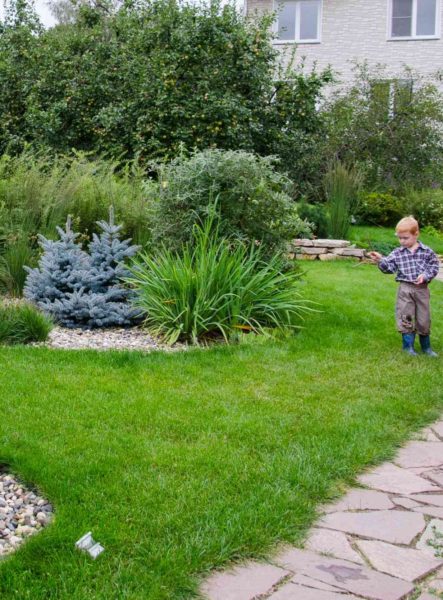 Дети и растения. Безопасность или развитие - 3