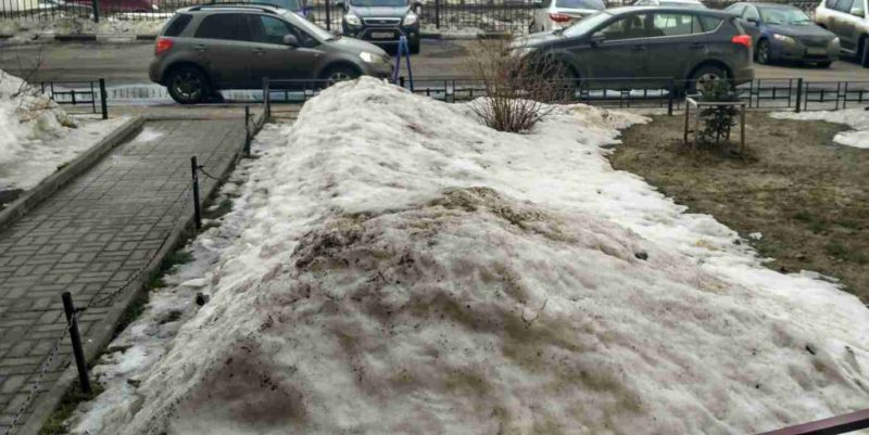 Ландшафтный дизайн - проект Стоматология-10