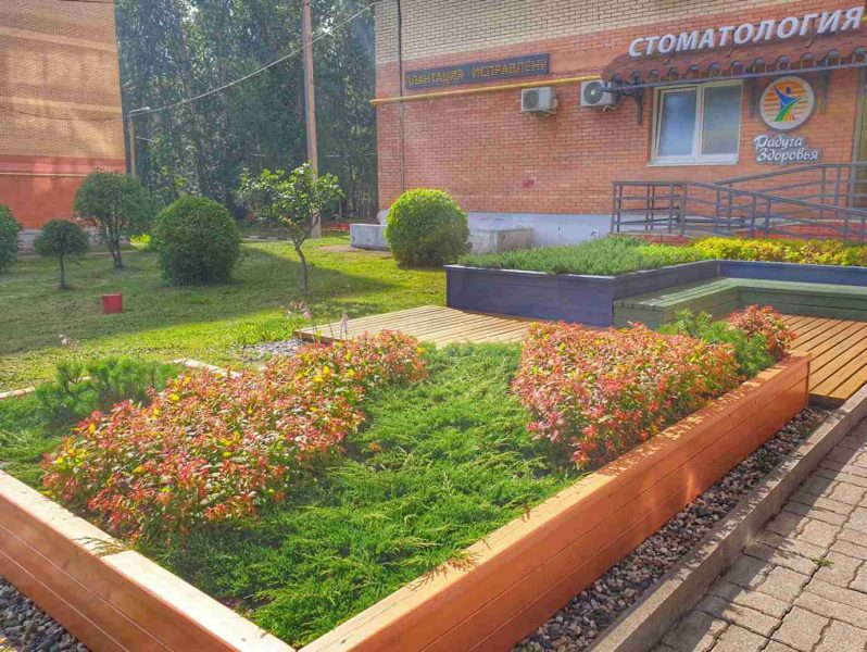 Ландшафтный дизайн - проект Стоматология-12