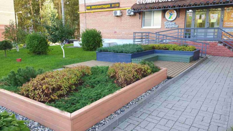 Ландшафтный дизайн - проект Стоматология-13