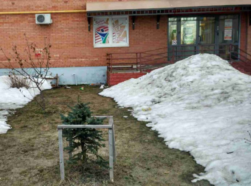 Ландшафтный дизайн - проект Стоматология-6