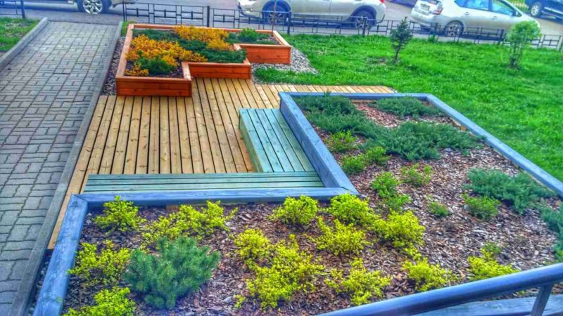 Ландшафтный дизайн - проект Стоматология-7