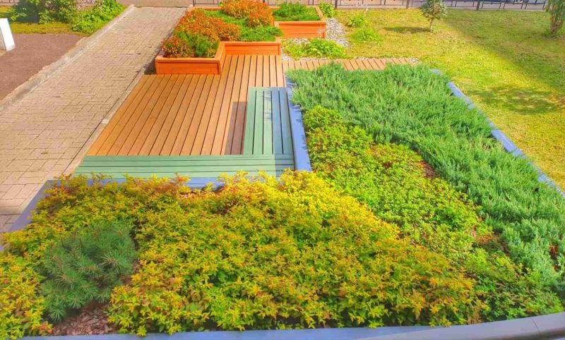 Ландшафтный дизайн - проект Стоматология-8