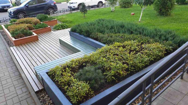 Ландшафтный дизайн - проект Стоматология-9