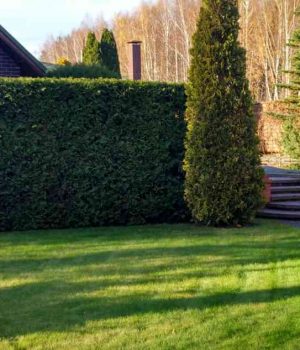 Где расположить арома сад