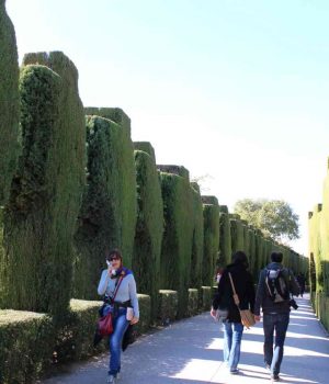 IMG_3931 Альгамбра Испания