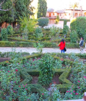 IMG_4057 Альгамбра Испания