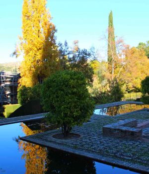 IMG_4064 Альгамбра Испания