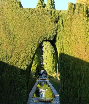 IMG_4087 Альгамбра Испания