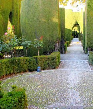 IMG_4091 Альгамбра Испания