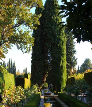 IMG_4098 Альгамбра Испания