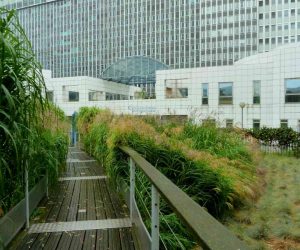 P1080487 Сад Атлантик