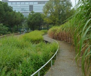 P1080490 Сад Атлантик