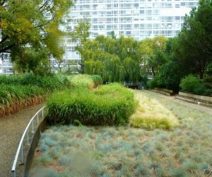 P1080492 Сад Атлантик