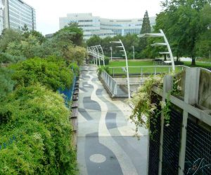 P1080500 Сад Атлантик