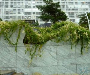 P1080505 Сад Атлантик