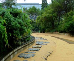 P1080522 Сад Атлантик