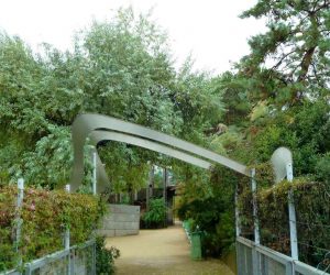 P1080539 Сад Атлантик