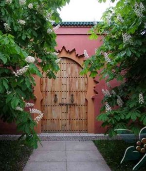 восточный сад (1)